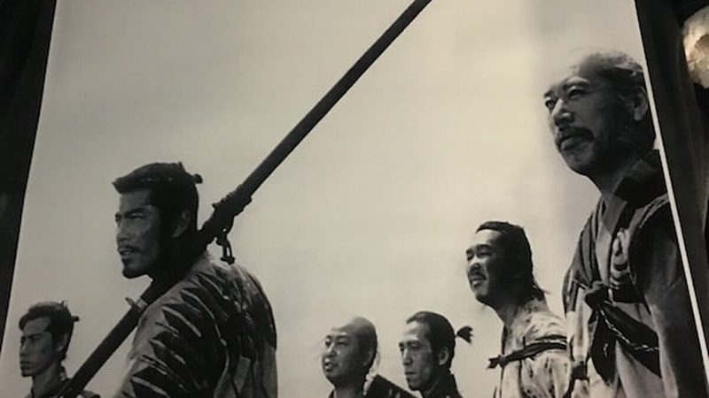 立体绿化墙体材料哪种好？关键在于这几点