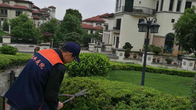 苗木种植报价，如何规避陷阱，确保质量？**