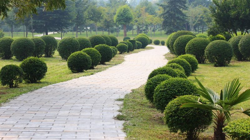 小区草坪建植：从标准规范到成功秘诀