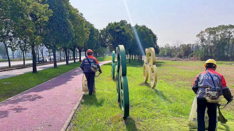 上海绿植租赁上门安装服务：打造绿色空间新选择