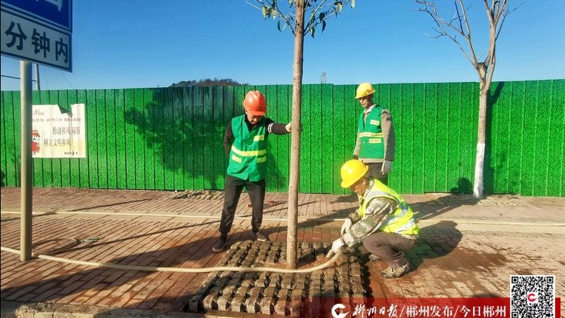 市政绿化养护，如何选择专业公司？**