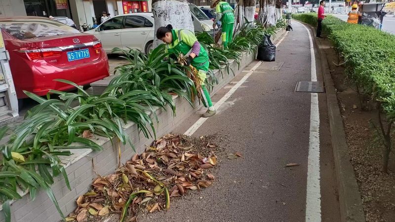 阳台立体绿化墙DIY施工方法全解析