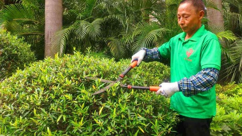 边坡绿化铁丝网：如何选择合适的产品**