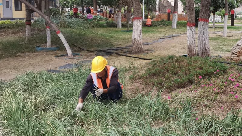 边坡绿化施工，价格如何？揭秘成本构成与影响因素**