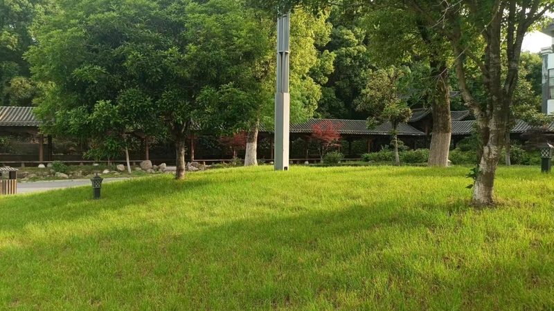 小区绿化工程步骤流程详解