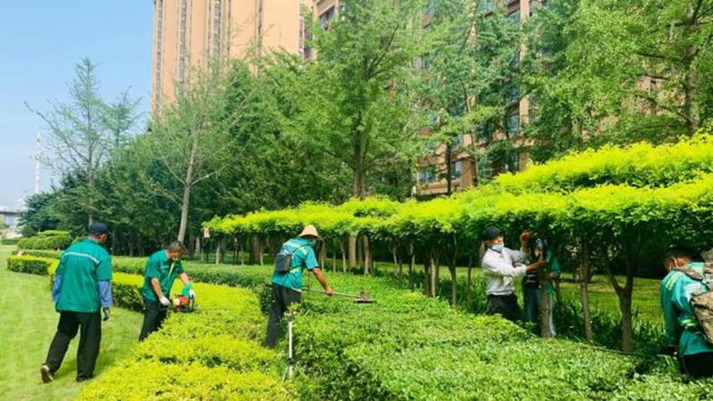 新中式园林景观设计：传承与创新的艺术融合